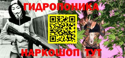 эйфоретик Кимры