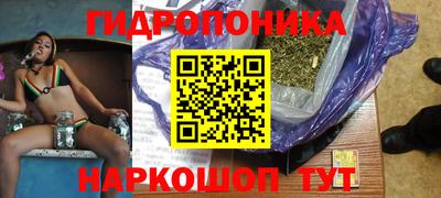 твердый Кингисепп