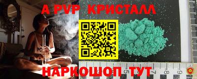 твердый Кингисепп