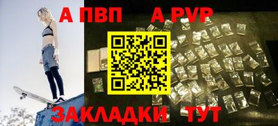 твердый Кингисепп