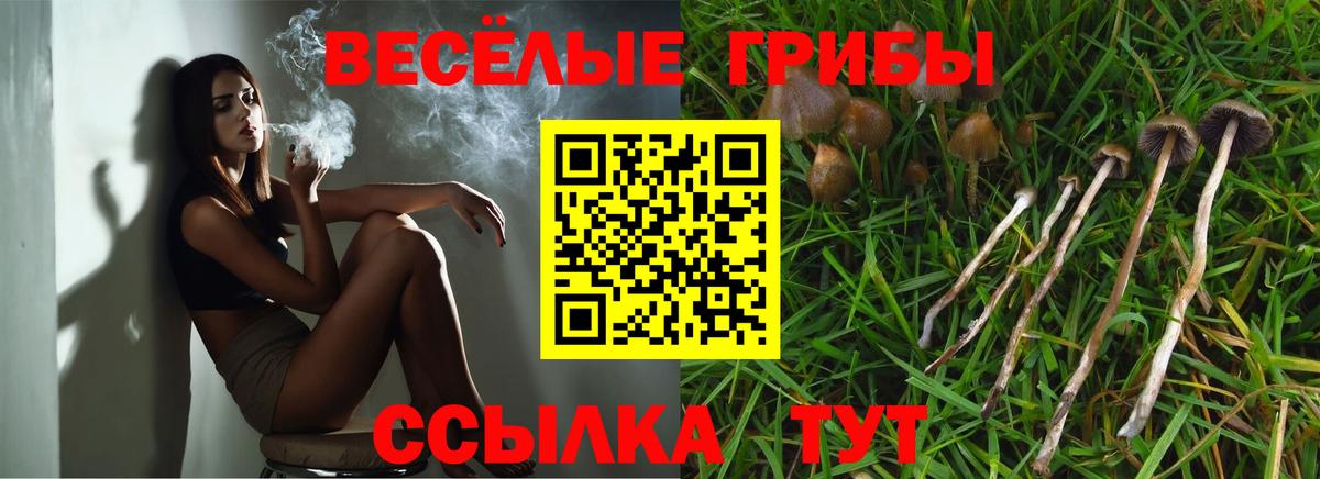 Галлюциногенные грибы прущие грибы  Вход с VPN  Зерноград  Псилоцибиновые грибы ЛСД 